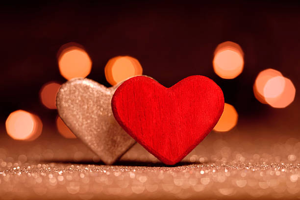 保護中: 最終章 恋の行動改革プロジェクト始動!!募集開始!